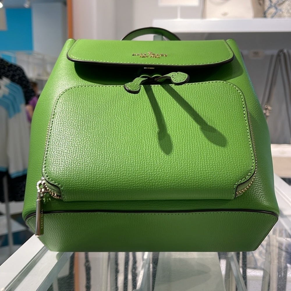 Kate Spade Kristi Medium Flap Backpack
Turtle Green
NWT - Picture 13 of 16